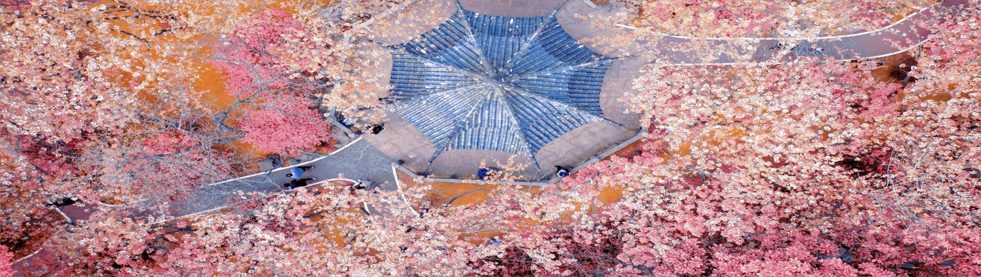 3044am永利集团官网